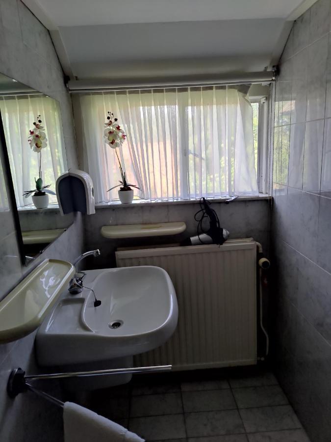 Vrijstaande Rietgedekte Villa Nabij Uitvalswegen Wassenaar Esterno foto