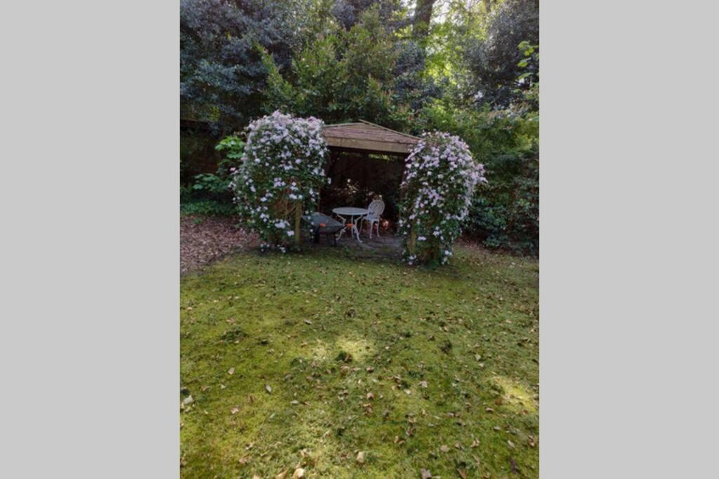 Vrijstaande Rietgedekte Villa Nabij Uitvalswegen Wassenaar Esterno foto