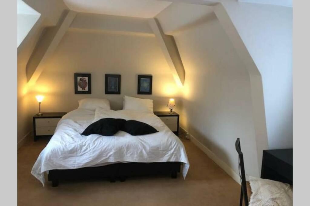 Vrijstaande Rietgedekte Villa Nabij Uitvalswegen Wassenaar Esterno foto